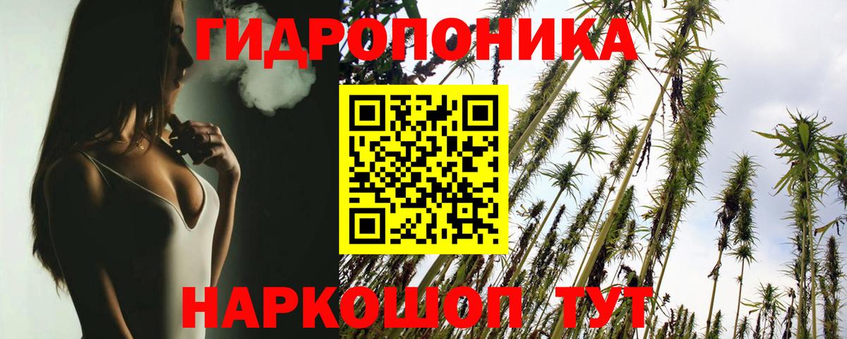 Канабис VHQ  Шишки марихуана Bruce Banner  Марихуана OG Kush  Мичуринск  Каннабис семена  Вход с VPN 